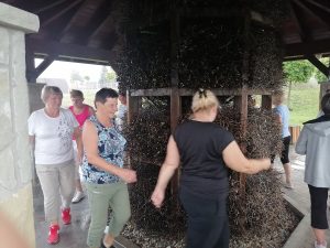 Grupa kobiet spacerujących wokół tężni solankowej